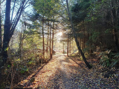 Clutha Gold Cycling and Walking Trail 2