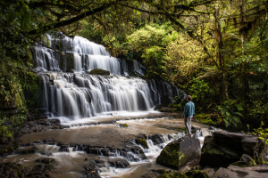 Purakaunui Falls, The Catlins