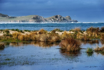 Flood Tide Image by Franky Malone