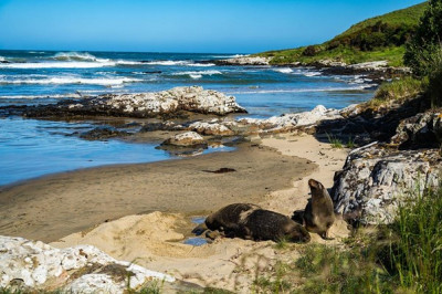 Purakaunui Bay The Catlins 2