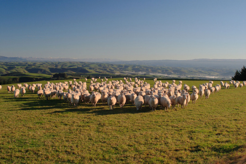 Taste of Clutha Header ScaleWidthWzEwMDBd