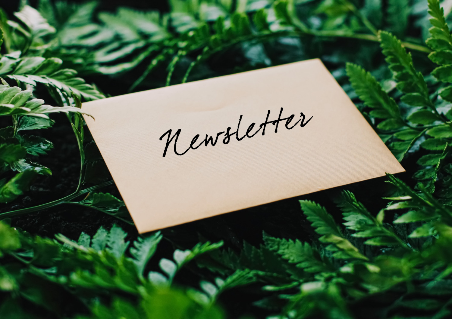 Newsletter v3