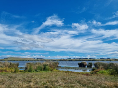 Lake Tuakitoto 2