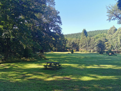 IMG 20220210 095826