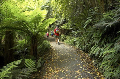 Walking Trails in The Catlins
