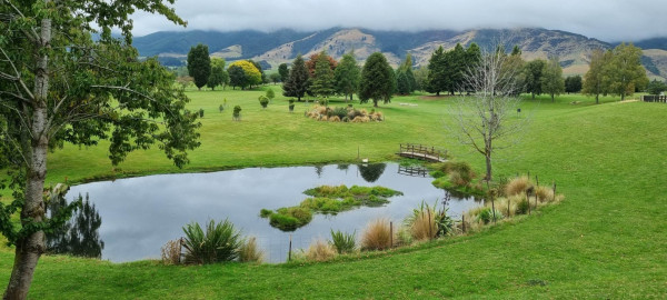 Tapanui Golf