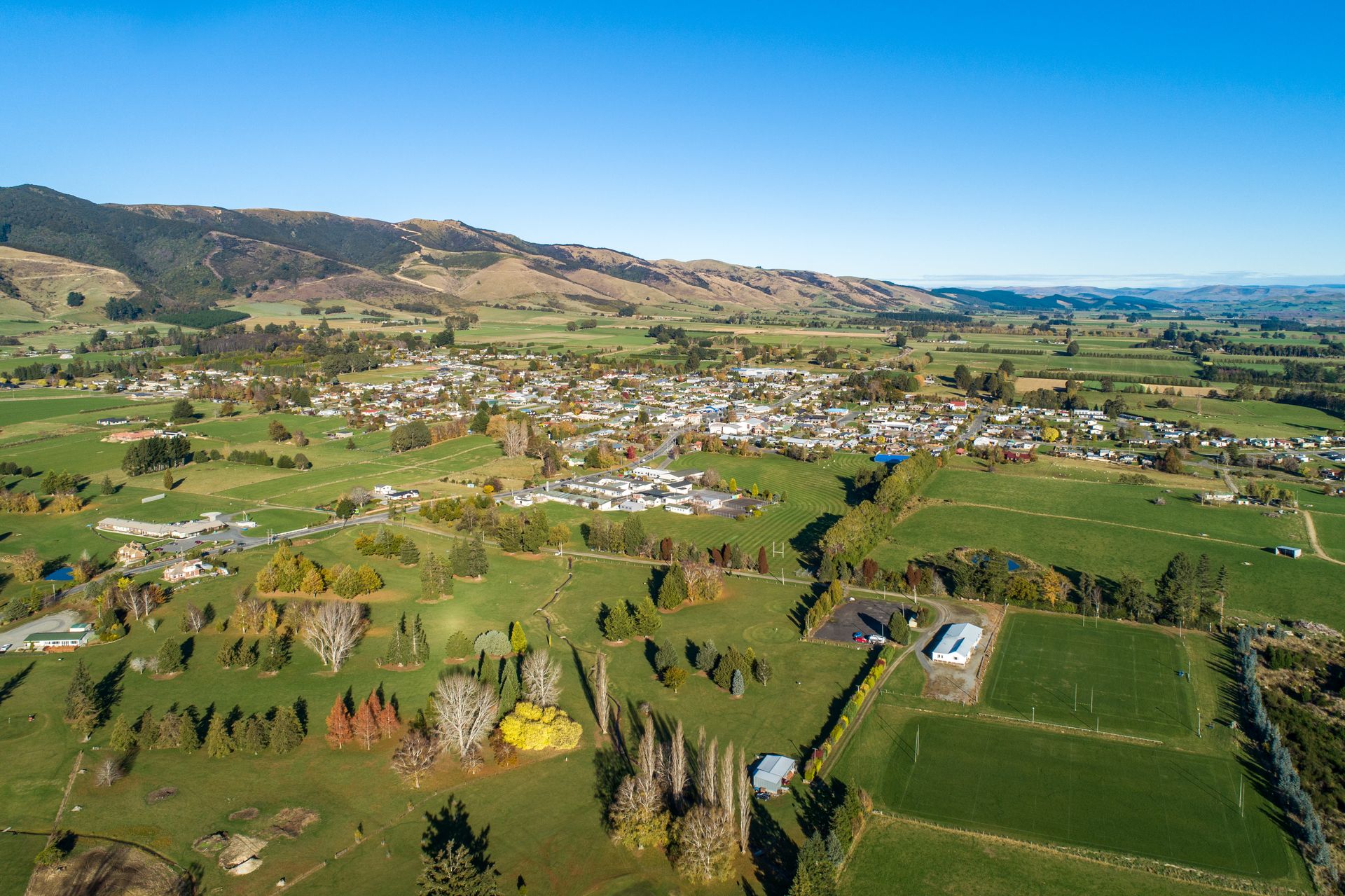 147810 tapanui west otago 3 credit natwick web size 1920px