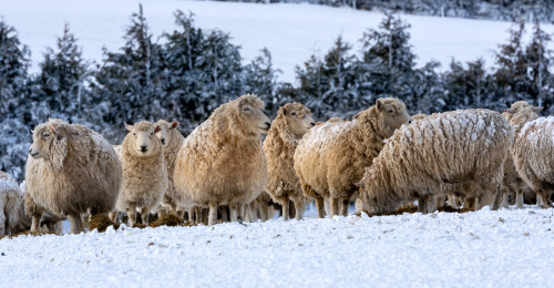 137774 martin hayward 5