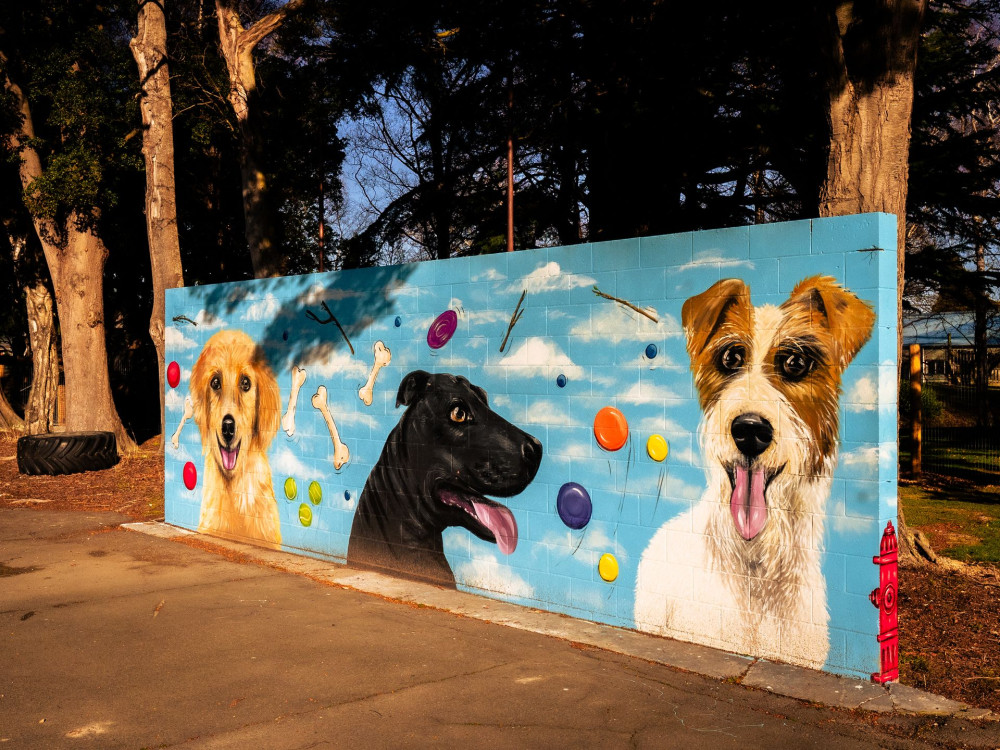 767813 0825 clutha alice murals 62 web size 1920px