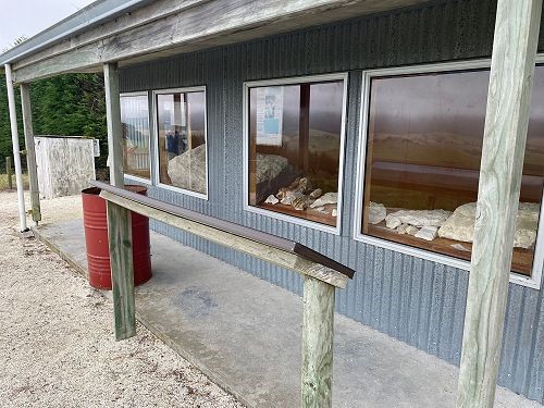 Milburn Whale and Dolphin Fossils Lookout