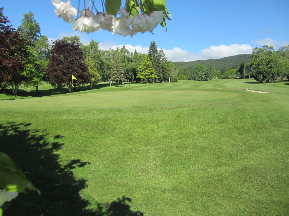 Toko Golf 1
