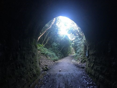 Tunnel Hill The Catlins