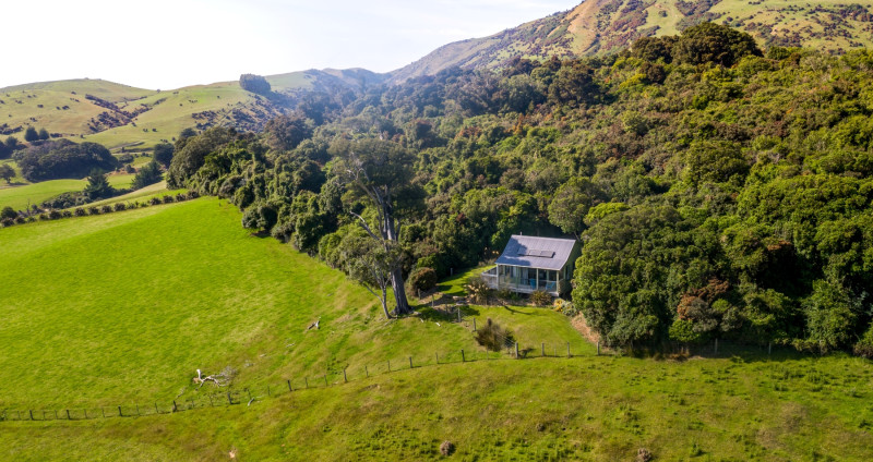 448794 catlins mohua park southland new zealand credit great south 7 resized v2